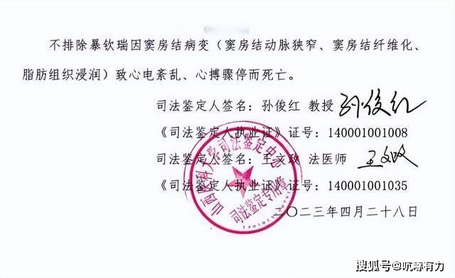 等刑讯逼供致人死亡11名办案人终被判刑！冰球突破技巧3年前“开飞机”、电击生殖器(图2)